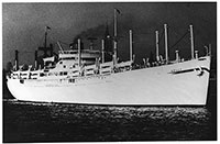 Photograph of MS Nelly, 1949-1953. Canadian Museum of Immigration at Pier 21 (DI2013.1657.1)